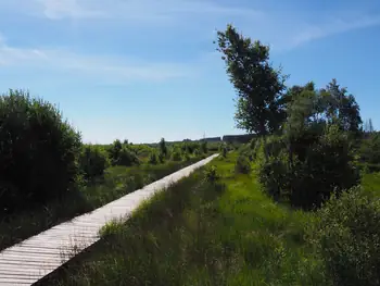 Signal de Botrange (Belgium)